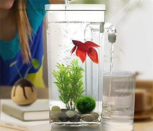 Fish Tank Plastic Lazy Fish Tank Small Aquarium Mini Goldfish Bowl Square Fish Tank Round Fish Tank Ecological Fishbowl Rransparen Aquarium Tank (Color : Square Fish Tank, Size : Small)