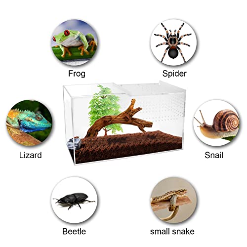 Naneezoo YAKELI1486 Acrylic Reptile Terrarium Enclosure, 14 Inchx6 Inchx8 Inch Tarantula Enclosure thumb #3
