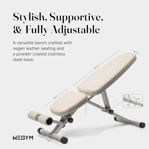 WeGym Fitness Bench, Adjustable, Collapsible, Comfortable, and Luxurious Home Gym Bench for Strength Training - Image 3