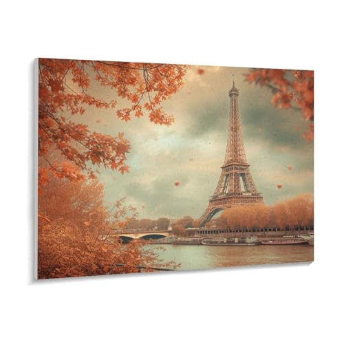 G bZ H̃GbtF̃V[ fW^G LbgɂG DIYG h YȌ fIȐFʂ̕i LbghG Ǐ z[ ItBX hG H| S l q 蕨 50×40cm