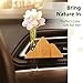 Little Glass Flower Vase Air Vent Clip, Wooden Stand Car Aroma Diffuser, Car Air Vent Decor Plant Holder, Auto Interior Decorations (Beech Peak)