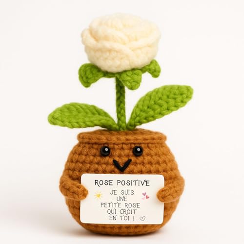 Rose Positive© | Cadeau Amour & Tendresse | Pour Elle | I...