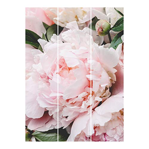 Bilderwelten Cortinas deslizables - Light Pink - 3 Paneles japoneses Sin Montaje 250x180cm