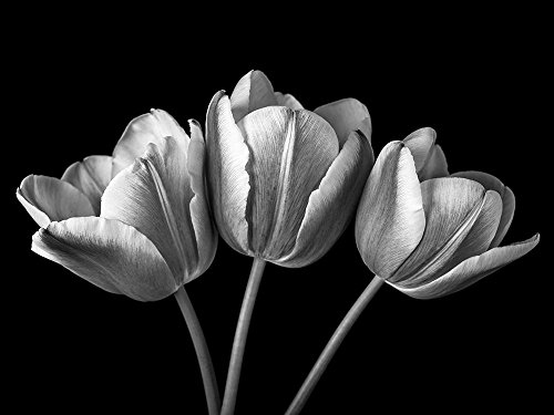 Tableau fleurs de tulipes sur fond noir pour décoration murale salon de 65x86 cm