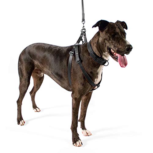 Logical Leather Adjustable Dog Harness - Heavy Duty Quick Release Genuine Leather Harness - Black #TOP4