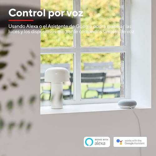 Trust WIFI CCT - E14-71297-02 Bombilla LED, Compatible con Alexa y Google Home, Luz LED Cambio Color, No Hub, 2.4GHz Lámpara LED, Bombilla Inteligente Blanca y en Color – Pack de 2 - imagen 6