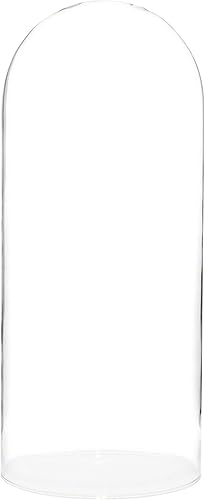 Plymor Campana de cristal para exhibición de 5.5 x 13 pulgadas en forma de domo