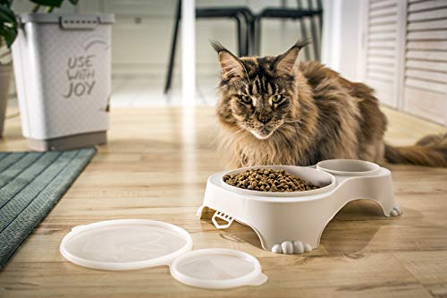 Rotho MyPet Sally Doppel Futternapf mit Deckel, Kunststoff (PP) BPA-frei, sand, 1l + 0.28l (32.0 x 23.7 x 7.0 cm)