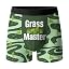 Lawn Mowers Green