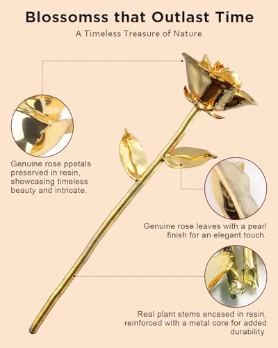 Image of WILDLOVE 24K Gold Dipped Rose, Preserved Real Gold Rose, Gifts for Women