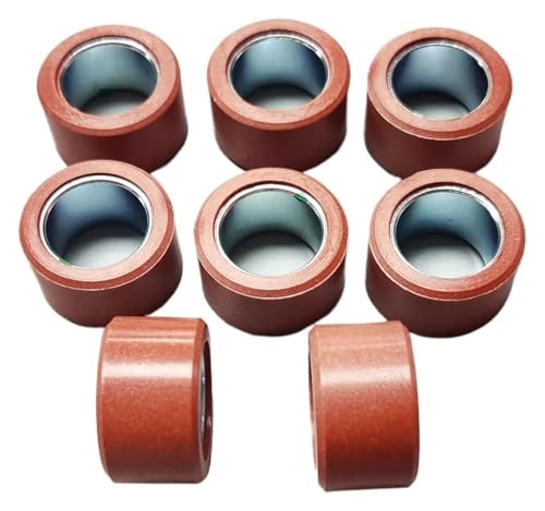 Galet de variateur 26x15mm 18g pour transmission scooter SR4Max350 C400GT