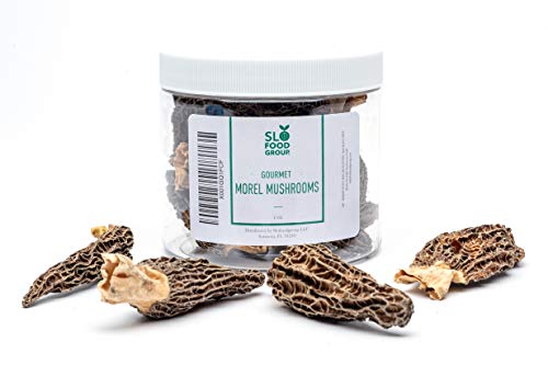Slofoodgroup Dried Morel Mushrooms (Morchella Conica) Gourmet Morel Mushrooms (1oz morels)