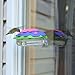 Nature's Way Bird Products WFHF2 So Real Window Hummingbird Feeder, Purple Fuchsia