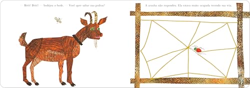 Uma aranha muito ocupada Uma aranha muito ocupada - Imagem 4