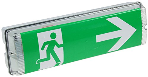 ChiliTec LED Fluchtwegleuchte Notleuchte Rettungszeichenleuchte Notbeleuchtung Deckenmontage IP65 Wasserfest Erkennung bis 25m nach EN-61547 Mit Richtungszeichen Piktogrammen