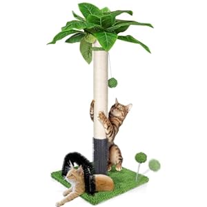 Masthome Rascador para Gatos, 75 cm, Poste de Rascador para Gatos, Columna de Sisal Natural y Base de Manta de Moqueta Suave con Bola Colgante, Actividad Interior para Gatos y Gatitos, Verde