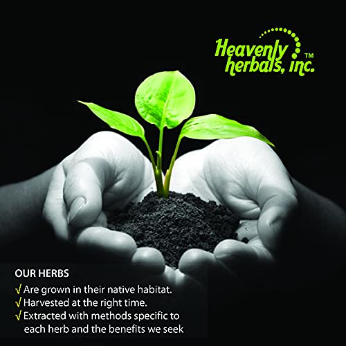 Crataegus Oxyacantha Q - Mother Tincture – Hawthorn Berry Extract - Supports Cardiovascular Health And Regulate Blood Circulation – Made In Usa – 2 Fl. Oz – Homeopathic Medicine #TOP1