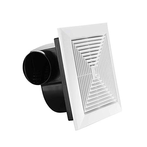 VejiAberry VejiA CC_Ngt@ u[X^[t@ vX`bN h CpCv rCV oX[t@