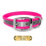 Regal Dog Products Reflective Dog Collar with Custom Engraved Name Plate | Waterproof Biothane Personalized Dog Collars with D Ring & Double Buckle - Other Sizes for Small, Medium & Large Dogs