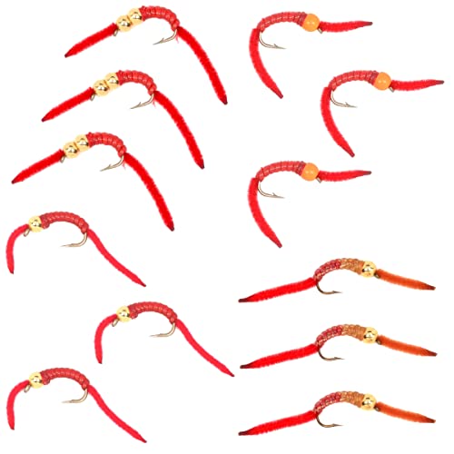 The Fly Fishing Place San Juan Worm Trout Fly Assortment Power Bead Worms 1 Dozen Wet Nymph Fly Fishing Flies - Hook Size 10-3 Each Of 4 Patterns #TOP1