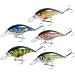 Magreel Crankbaits Fishing Lures Set,Hard Baits Treble Hooks 3D Lifelike Eyes with Tackle Box,Deep/Shallow Divers-3.3" 0.35oz