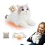 Ragdoll Cat