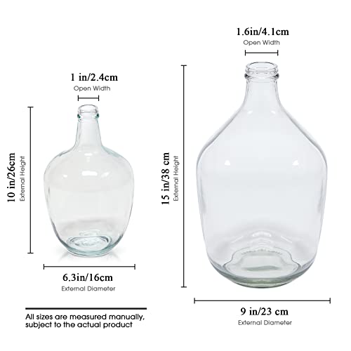 Clear Glass Vase for Decor, Big Belly Bubble Flower Bottle for Home Countertop, Shelf, Centerpiece and Shelf Decoration(6.3x6.3x10 In) - Image 7