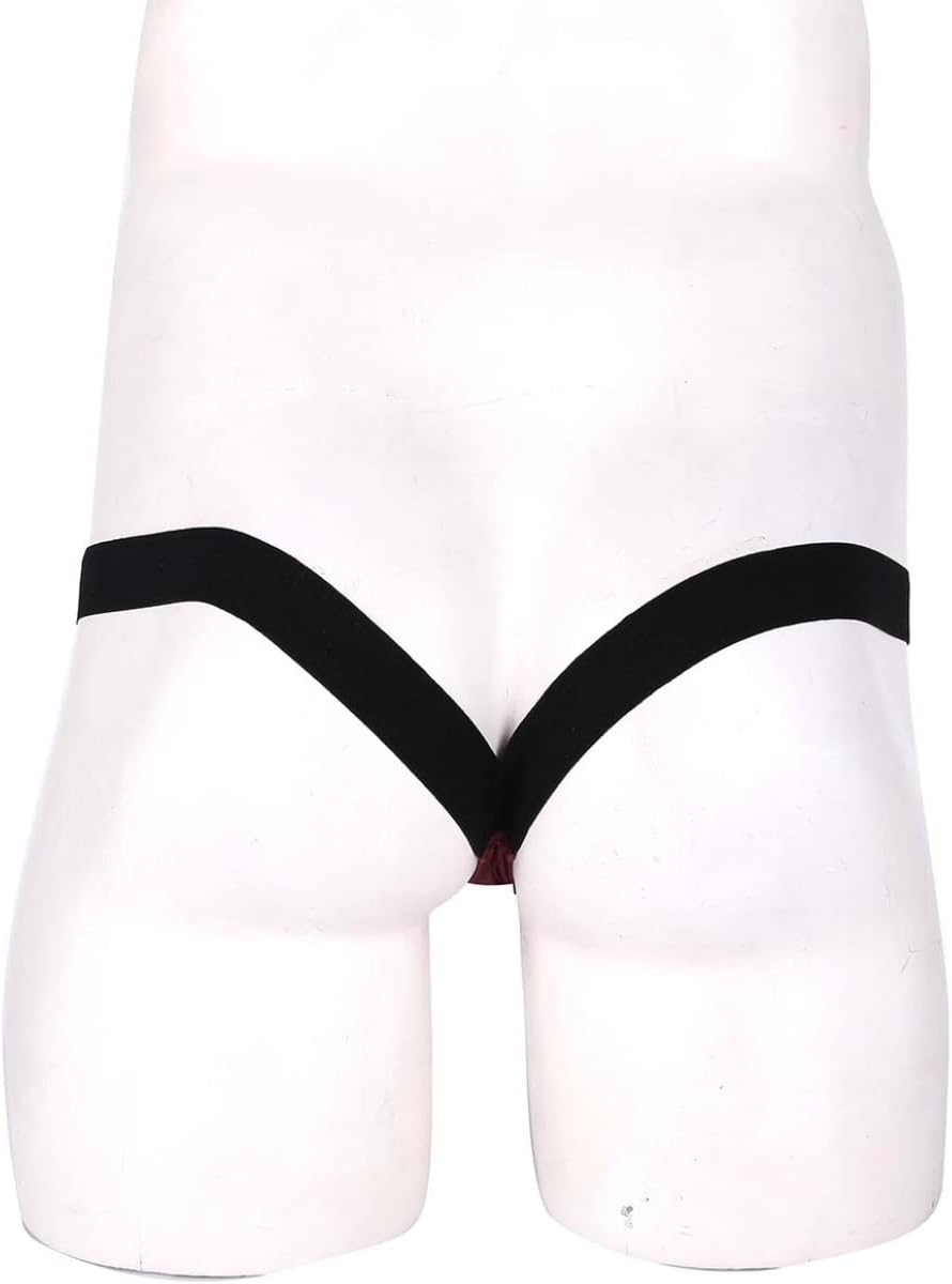 Men's Micro Pouch See Through Mesh Breathable Bikini Underwear Low Rise Briefs Swimwear