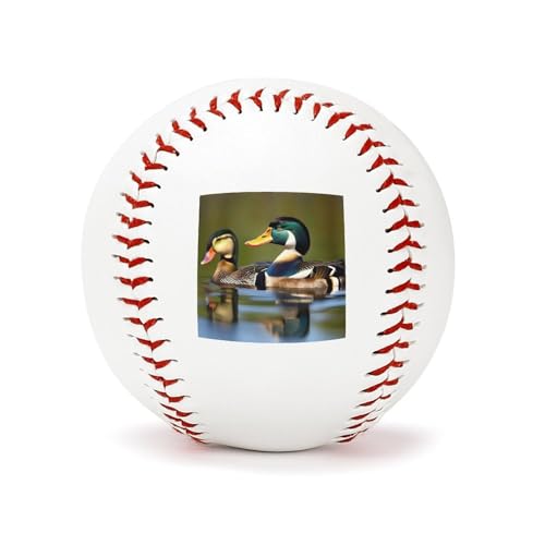Balles de baseball d'entraînement Deux Geckos 22,9 cm pour terrain et frappeur