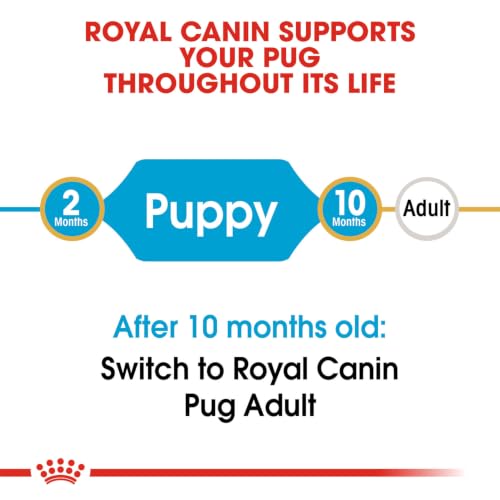 Image of Royal Canin Pug Puppy Food, 1.5 Kg, Dry Food, Supports Healthy Immune System & Digestive Health, Promotes Healthy Skin