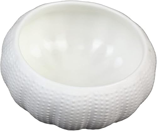 Miniatura 4 de Hemoton Mini cuenco de cerámica para erizo de mar, plato de inmersión de cocina, suministros de restauración para frutos secos, salsa de caviar,
