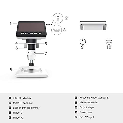 Microscope numérique LLD 50X-1000X blanc avec support de bureau et carte Micro SD 32 Go
