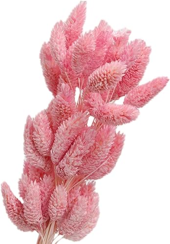 Ramos de flores secas 50 piezas cola de conejo rosa miniatura 1
