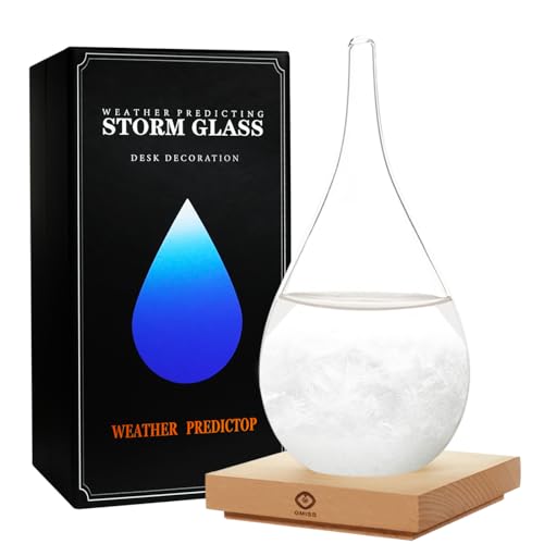 Storm Glass Weather Predictor Christmas Snow Globe Storm Glass Barometer Weather Predictor Home and Office Decorative Glass Bottles