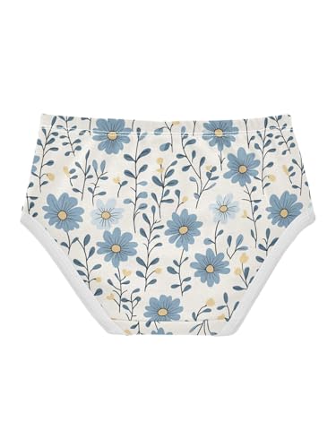 ZZKKO Farmhouse Blue Daisy Floral Girls Underwear Toddler Panties for Girls Comfort Brief Size 2T2