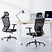 FLEXISPOT OC3 Cloud Ergonomic Office Chair High Back Mesh Swivel Computer Chair Executive Office Desk Chairs with Adjustable Lumbar Support/2D Headrest/Lockable Backrest, Foam Seat Cushion, Black