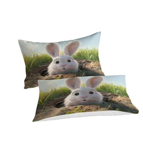 Housses De Couettes 3D Rabbit Super Douce Parure de Lit Microfibre 260x220 - 7