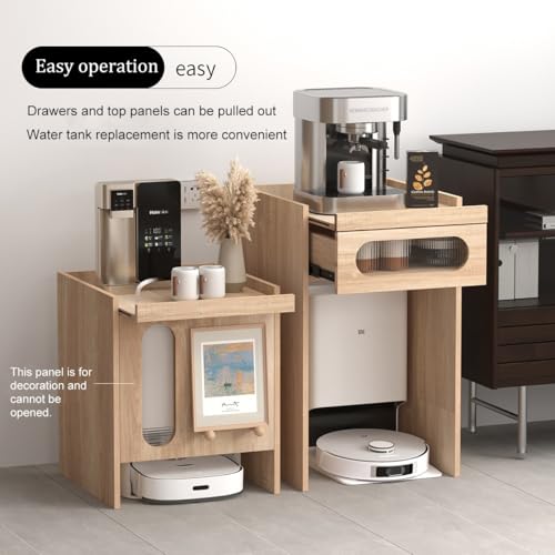 Robot Vacuum Hidden Cabinet in living room