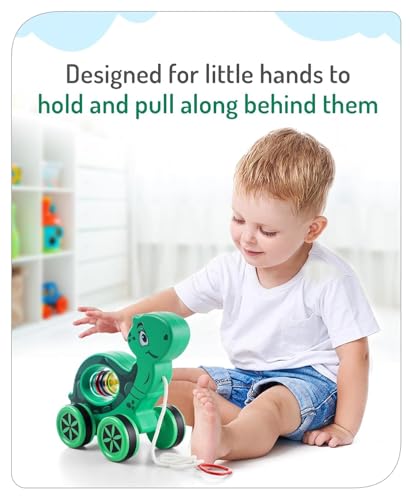 Image of Mini Steps Pull Along Turtle Toy - Baby Walking Toy for Toddlers, Safe & Durable