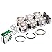 Domestic Gaskets DG-0664470770-5 Full Gasket Set Bearings Pistons Compatible With/For 93-97 Lexus GS300 SC300 Toyota Supra 2JZGE