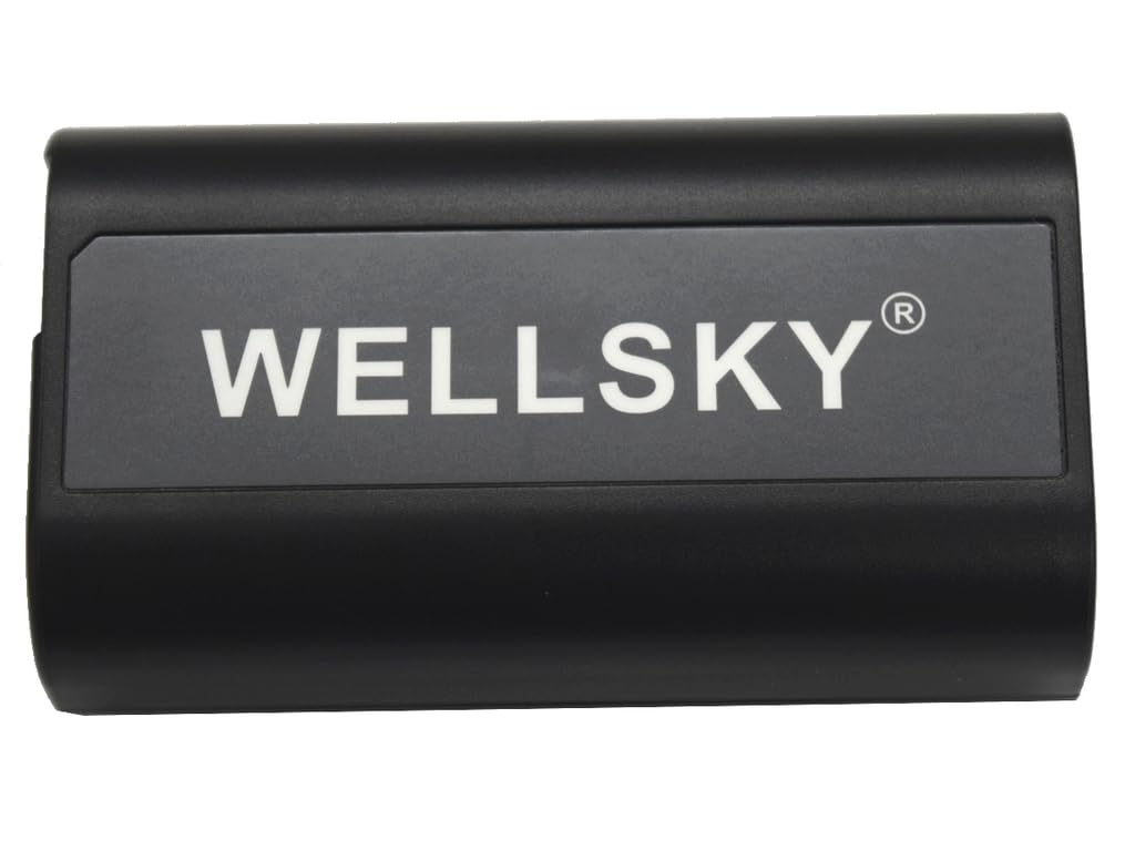 Z4　Panasonic DMW-BGS1 DMW-BLJ31×2個 Amazon | WELLSKY DMW-BLJ31 2個 互換バッテリー [ 純正充電器で充電