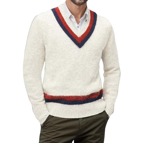 Mens Casual Slim Fit Sweaters V Neck Lightweight Soft Long Sleeve Fashion Pullover Top