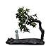 Artificial Plants Kreatywna symulacja sosna ceramiczna rysunek rzemiosło Zen Sztuczne zielone rośliny dekoracje salon Studynek szafki wino miękkie dekoracje dekoracji artificial bonsai tree