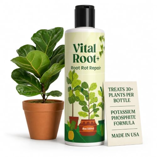 Root Rot Repair for Houseplants – Recovery Drops for Overwatering,