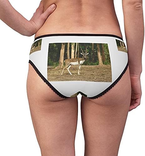 Male Blackbuck Panties, Male Blackbuck Underwear, Briefs, Cotton Briefs, Funny Underwear, Panties For Women