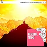  Peaceful Turns - Divine Meditating Sounds For Wisdom Mind, Vol. 3