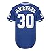 Bel Air Jersey Shirt Sleeve Benny 'The Jet' Rodriguez #30 The Sandlot Legends T Shirt 3D Print Fashion Baseball Jersey S-3XL(30 Rodrigue Blue,3X-Large)