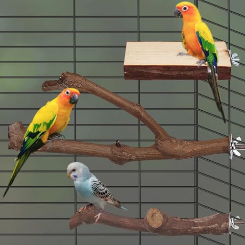 Image of 6 PCS Natural Bird perches for Budgies Parrot perches for Medium Birds Branch Perches Parakeet Bird Platform Stand for Small Parakeets, Budgies, Cockatiels, Conures, Macaws, Finches