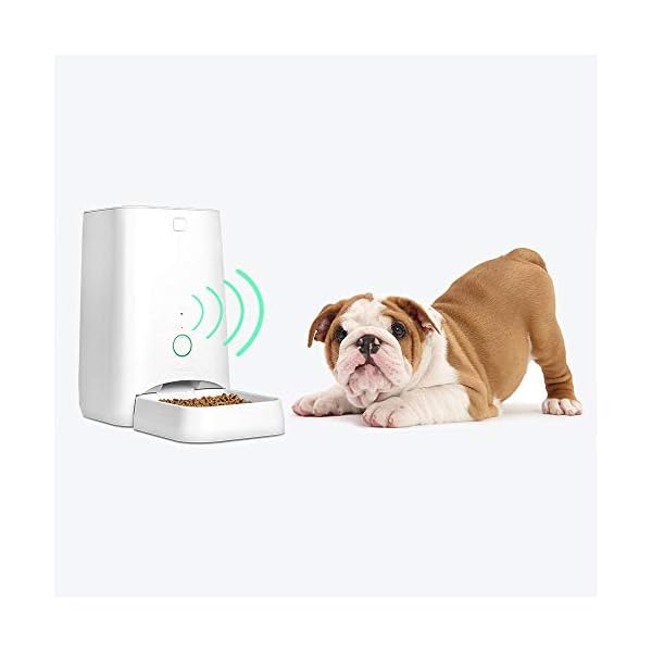 DOGNESS 6L Smart Feed Automatic Cat Feeder, Wi-Fi Enabled Pet Feeder for Cat and Small Dog, Smartphone App for iOS and Android, Portion Control, Fresh Lock System Auto Food Dispenser (White) DOGNESS 6L Smart Feed Automatic Cat Feeder, Wi-Fi Enabled Pet Feeder for Cat and Small Dog, Smartphone App for iOS and Android, Portion Control, Fresh Lock System Auto Food Dispenser (White)