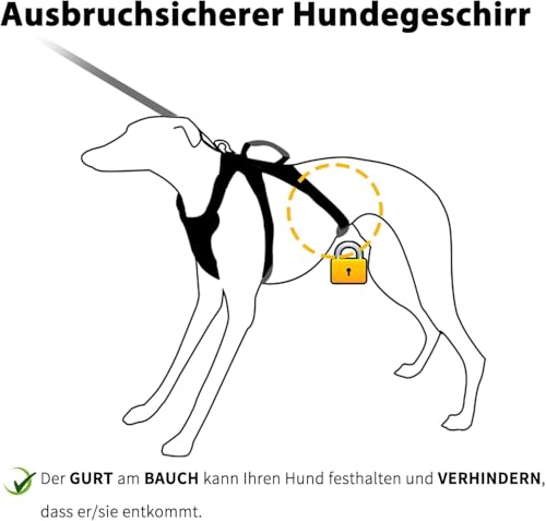 Huntboo Sicherheitsgeschirr Hund Ausbruchsicher, Panikgeschirr für Hunde, Reflektierendes Geschirr mit Gepolstertem Griff, Verstellbare Weste für Kleine Hunde, die Spazieren Gehen (Meeresblau,S)